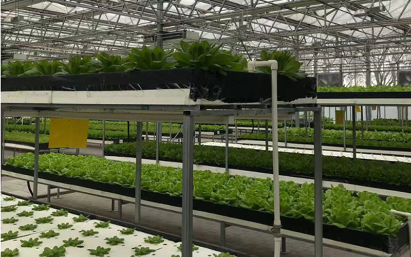 必发·bifa(中国)唯一官方网站